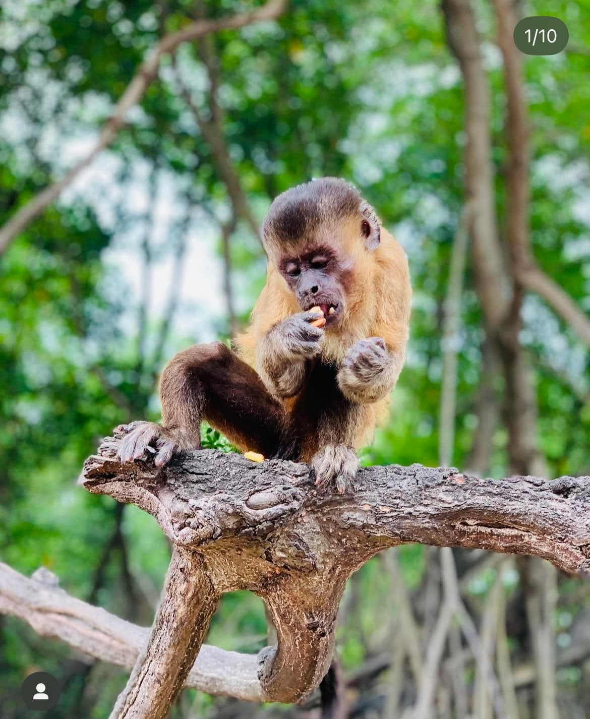 Imagem de Passeio + Transfer Barreirinhas x Atins