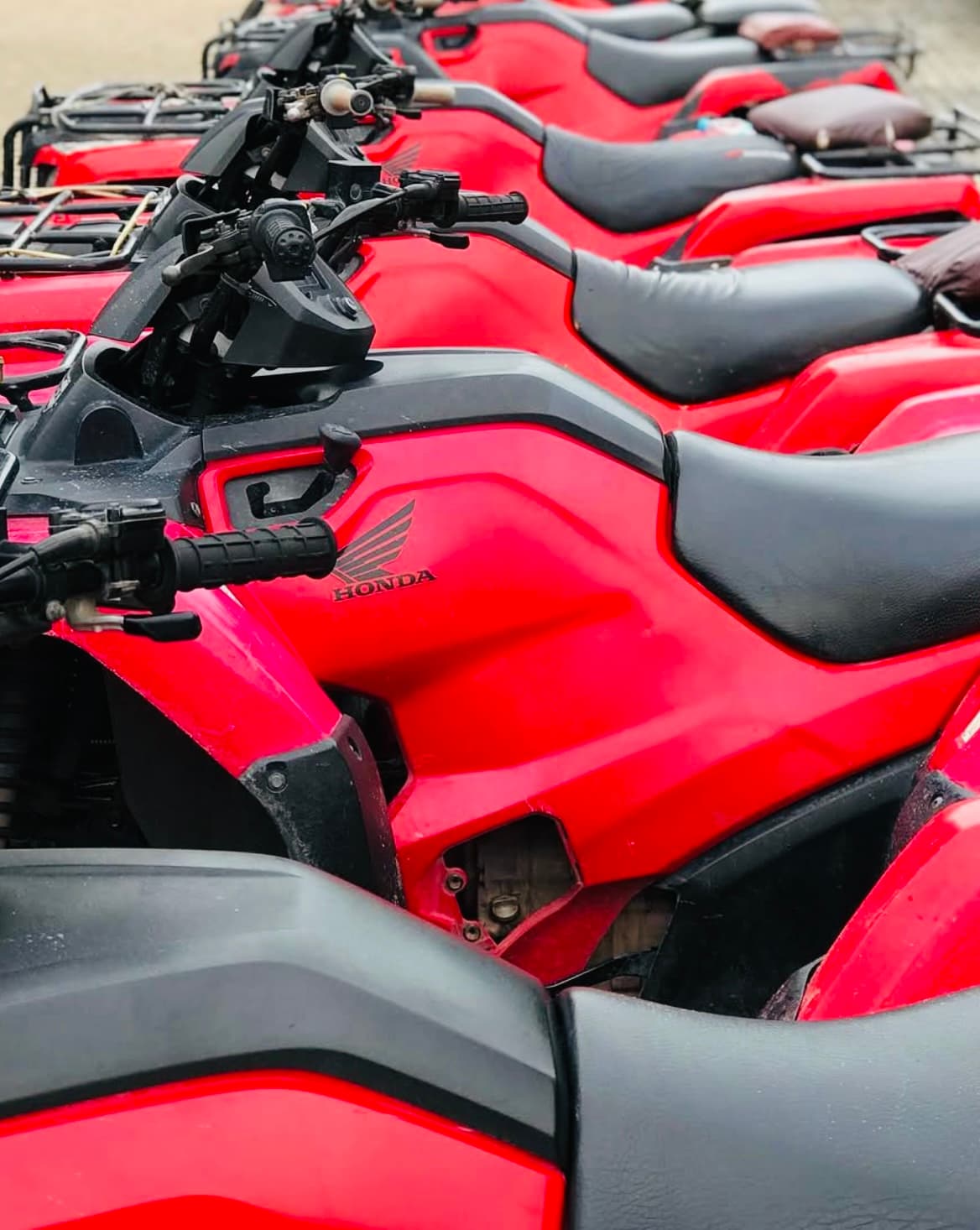 Imagem de Trilha de Quadriciclo 4x4